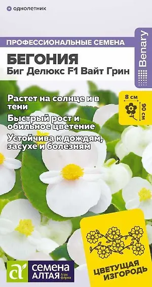 Бегония Биг Делюкс F1 Вайт грин/Сем Алт/цп 3 шт. НОВИНКА