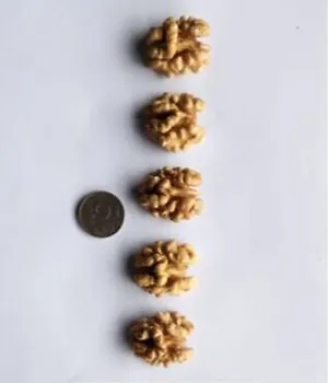 Грецкий орех бабочка 500 г