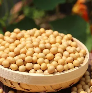 Соя Premium 1.0 кг