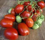 🌱 Томаты. Сезон 24/25