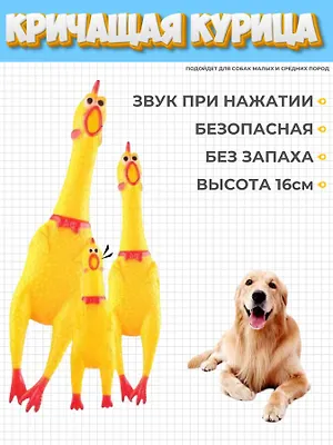 Кричащая курица