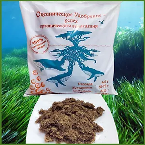 Океаническое удобрение