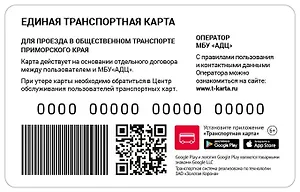 Транспортная карта Амурский лесной кот