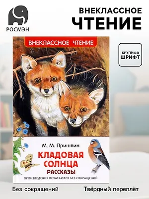 Книга детская для внеклассного чтения «Кладовая солнца», Пришвин М.
