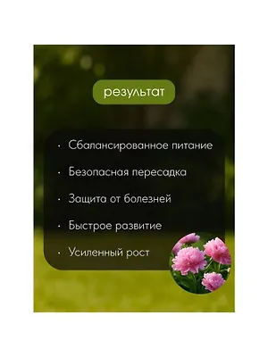 Удобрение для пионов и роз, пролонгированное с биодоступным кремнием, гранулы, 800 г, Bona Forte