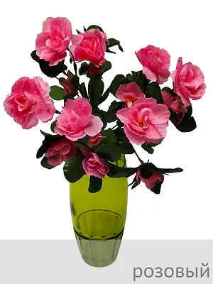 Азалия букет