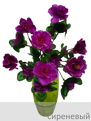 Азалия букет