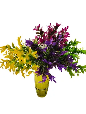 Ветка зелени