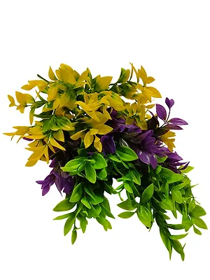 Ветка зелени