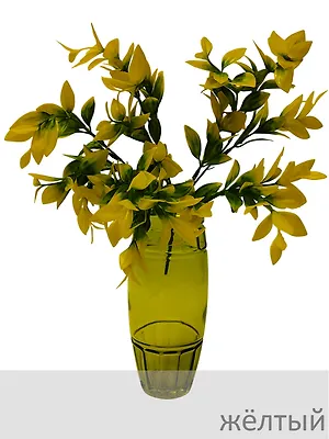 Ветка зелени