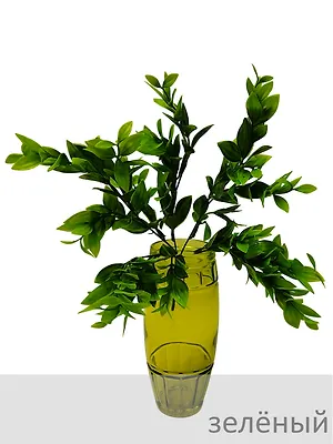 Ветка зелени