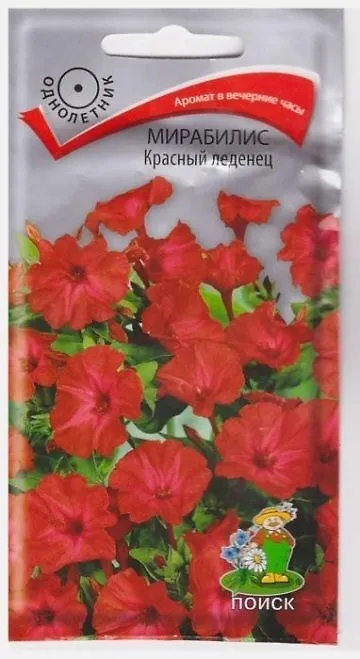 Поиск Мирабилис Красный Леденец (Код: 67704)